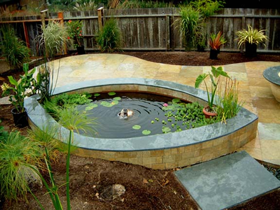 08-G.-pond3