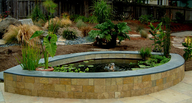 09-G.pond2